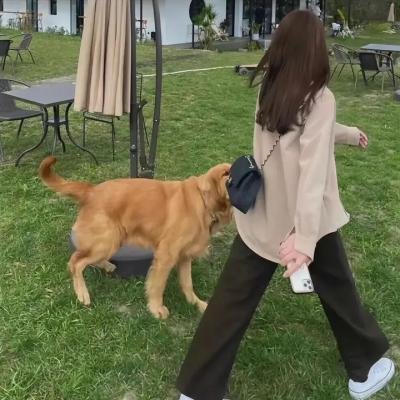 越活越明白